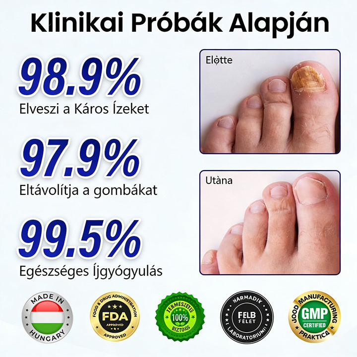 đđđđ„đ«đąđłđÂź đźđđđđđđđđđđđ đČöđöđđđđĂđĂł đ»đđđđđ đ