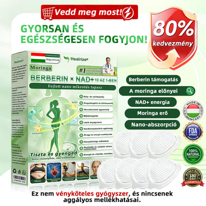 Hivatalos Webáruház | 💥Healrize® Moringa–Berberin és NAD+ 10 az 1-ben Fejlett Nano Mikrotűs Tapasz  ✅ Napi egy alkalmazás · Látható változások akár 7 napon belül