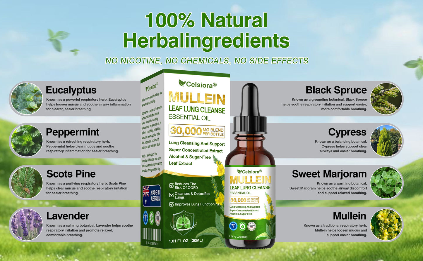 🌽✅𝐀𝐔 𝐎𝐟𝐟𝐢𝐜𝐢𝐚𝐥 𝐒𝐭𝐨𝐫𝐞|𝐂𝐞𝐥𝐬𝐢𝐨𝐫𝐚® 𝐎𝐫𝐠𝐚𝐧𝐢𝐜 𝐌𝐮𝐥𝐥𝐞𝐢𝐧 𝐋𝐞𝐚𝐟 𝐋𝐮𝐧𝐠 𝐂𝐥𝐞𝐚𝐧𝐬𝐞 𝐄𝐬𝐬𝐞𝐧𝐭𝐢𝐚𝐥 𝐎𝐢𝐥 (💖Cough, wheezing, shortness of breath, sputum, stuffy nose, bronchitis, bronchitis, allergy symptoms, lung discomfort💝)