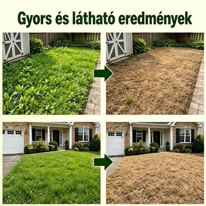 🌿 𝐇𝐞𝐚𝐥𝐫𝐢𝐳𝐞® 𝟓 ó𝐫á𝐬 𝐦𝐚𝐱𝐢𝐦á𝐥𝐢𝐬 𝐡𝐚𝐭á𝐬ú, 𝐤𝐞𝐭𝐭ő𝐬 𝐡𝐚𝐭á𝐬ú 𝐠𝐲𝐨𝐦𝐢𝐫𝐭ó | 𝐆𝐲𝐨𝐫𝐬𝐚𝐧 𝐡𝐚𝐭ó 𝐠𝐫𝐚𝐧𝐮𝐥á𝐭𝐮𝐦 𝐦𝐚𝐤𝐚𝐜𝐬 𝐠𝐲𝐨𝐦𝐨𝐤 é𝐬 𝐛𝐨𝐤𝐫𝐨𝐬 𝐧ö𝐯é𝐧𝐲𝐳𝐞𝐭 𝐞𝐥𝐥𝐞𝐧 🍂