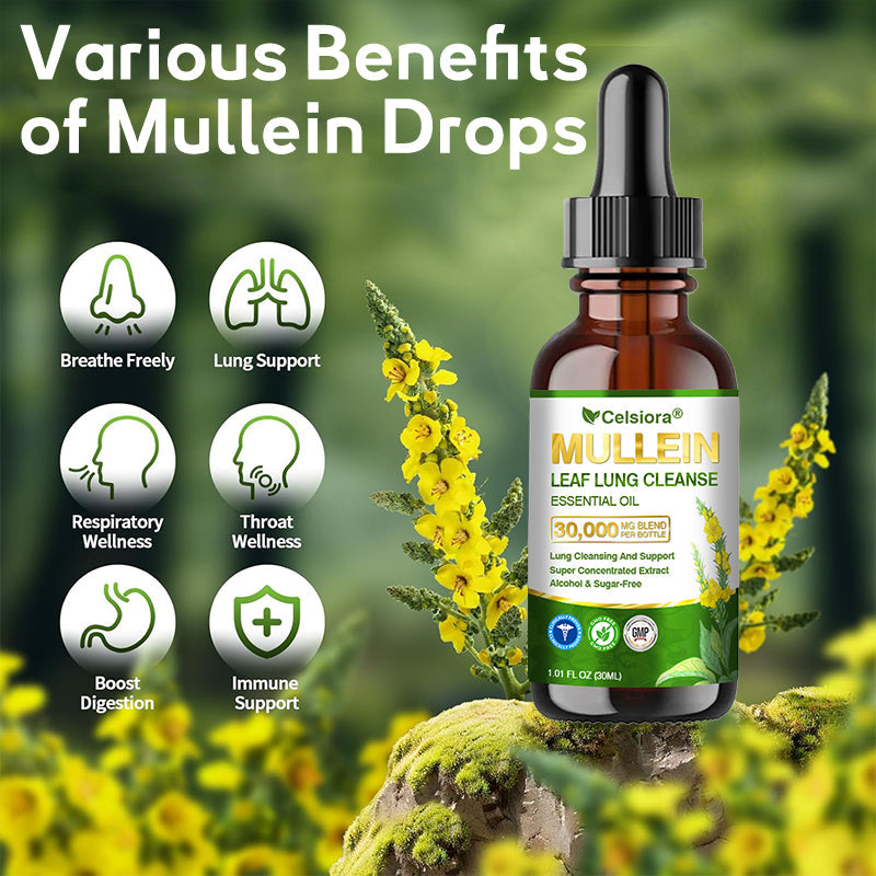 🌽✅𝐀𝐔 𝐎𝐟𝐟𝐢𝐜𝐢𝐚𝐥 𝐒𝐭𝐨𝐫𝐞|𝐂𝐞𝐥𝐬𝐢𝐨𝐫𝐚® 𝐎𝐫𝐠𝐚𝐧𝐢𝐜 𝐌𝐮𝐥𝐥𝐞𝐢𝐧 𝐋𝐞𝐚𝐟 𝐋𝐮𝐧𝐠 𝐂𝐥𝐞𝐚𝐧𝐬𝐞 𝐄𝐬𝐬𝐞𝐧𝐭𝐢𝐚𝐥 𝐎𝐢𝐥 (💖Cough, wheezing, shortness of breath, sputum, stuffy nose, bronchitis, bronchitis, allergy symptoms, lung discomfort💝)