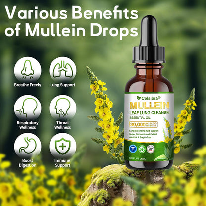 🌽✅𝐀𝐔 𝐎𝐟𝐟𝐢𝐜𝐢𝐚𝐥 𝐒𝐭𝐨𝐫𝐞|𝐂𝐞𝐥𝐬𝐢𝐨𝐫𝐚® 𝐎𝐫𝐠𝐚𝐧𝐢𝐜 𝐌𝐮𝐥𝐥𝐞𝐢𝐧 𝐋𝐞𝐚𝐟 𝐋𝐮𝐧𝐠 𝐂𝐥𝐞𝐚𝐧𝐬𝐞 𝐄𝐬𝐬𝐞𝐧𝐭𝐢𝐚𝐥 𝐎𝐢𝐥 (💖Cough, wheezing, shortness of breath, sputum, stuffy nose, bronchitis, bronchitis, allergy symptoms, lung discomfort💝)