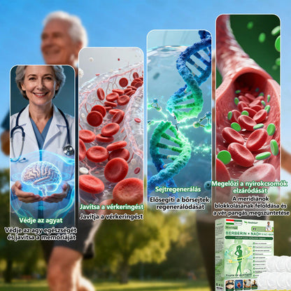 Hivatalos Webáruház | 💥Healrize® Moringa–Berberin és NAD+ 10 az 1-ben Fejlett Nano Mikrotűs Tapasz  ✅ Napi egy alkalmazás · Látható változások akár 7 napon belül
