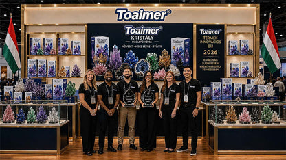 💥 Ma 50% kedvezmény | 👨‍👩‍👧‍👦Toaimer® CrystalGenesis — Növeszd meg saját luxus kristályékszeredet 💎