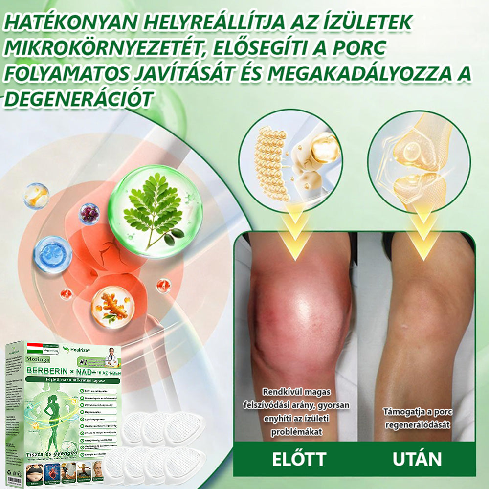 Hivatalos Webáruház | 💥Healrize® Moringa–Berberin és NAD+ 10 az 1-ben Fejlett Nano Mikrotűs Tapasz  ✅ Napi egy alkalmazás · Látható változások akár 7 napon belül