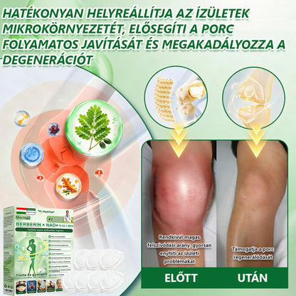 Hivatalos Webáruház | 💥Healrize® Moringa–Berberin és NAD+ 10 az 1-ben Fejlett Nano Mikrotűs Tapasz  ✅ Napi egy alkalmazás · Látható változások akár 7 napon belül