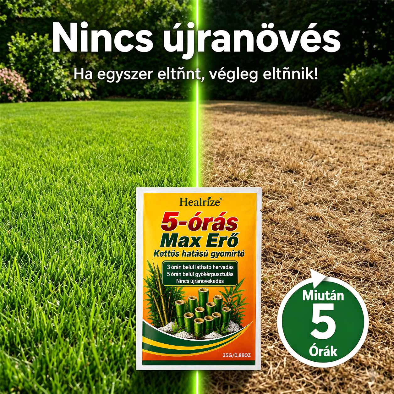 🌿 𝐇𝐞𝐚𝐥𝐫𝐢𝐳𝐞® 𝟓 ó𝐫á𝐬 𝐦𝐚𝐱𝐢𝐦á𝐥𝐢𝐬 𝐡𝐚𝐭á𝐬ú, 𝐤𝐞𝐭𝐭ő𝐬 𝐡𝐚𝐭á𝐬ú 𝐠𝐲𝐨𝐦𝐢𝐫𝐭ó | 𝐆𝐲𝐨𝐫𝐬𝐚𝐧 𝐡𝐚𝐭ó 𝐠𝐫𝐚𝐧𝐮𝐥á𝐭𝐮𝐦 𝐦𝐚𝐤𝐚𝐜𝐬 𝐠𝐲𝐨𝐦𝐨𝐤 é𝐬 𝐛𝐨𝐤𝐫𝐨𝐬 𝐧ö𝐯é𝐧𝐲𝐳𝐞𝐭 𝐞𝐥𝐥𝐞𝐧 🍂