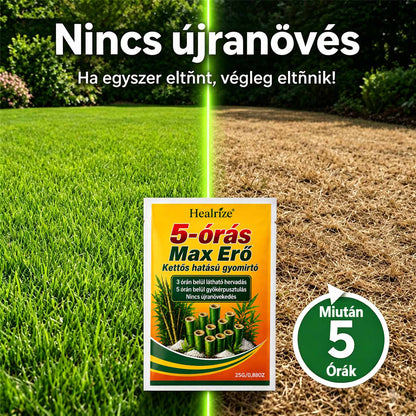 🌿 𝐇𝐞𝐚𝐥𝐫𝐢𝐳𝐞® 𝟓 ó𝐫á𝐬 𝐦𝐚𝐱𝐢𝐦á𝐥𝐢𝐬 𝐡𝐚𝐭á𝐬ú, 𝐤𝐞𝐭𝐭ő𝐬 𝐡𝐚𝐭á𝐬ú 𝐠𝐲𝐨𝐦𝐢𝐫𝐭ó | 𝐆𝐲𝐨𝐫𝐬𝐚𝐧 𝐡𝐚𝐭ó 𝐠𝐫𝐚𝐧𝐮𝐥á𝐭𝐮𝐦 𝐦𝐚𝐤𝐚𝐜𝐬 𝐠𝐲𝐨𝐦𝐨𝐤 é𝐬 𝐛𝐨𝐤𝐫𝐨𝐬 𝐧ö𝐯é𝐧𝐲𝐳𝐞𝐭 𝐞𝐥𝐥𝐞𝐧 🍂