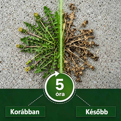 🌿 𝐇𝐞𝐚𝐥𝐫𝐢𝐳𝐞® 𝟓 ó𝐫á𝐬 𝐦𝐚𝐱𝐢𝐦á𝐥𝐢𝐬 𝐡𝐚𝐭á𝐬ú, 𝐤𝐞𝐭𝐭ő𝐬 𝐡𝐚𝐭á𝐬ú 𝐠𝐲𝐨𝐦𝐢𝐫𝐭ó | 𝐆𝐲𝐨𝐫𝐬𝐚𝐧 𝐡𝐚𝐭ó 𝐠𝐫𝐚𝐧𝐮𝐥á𝐭𝐮𝐦 𝐦𝐚𝐤𝐚𝐜𝐬 𝐠𝐲𝐨𝐦𝐨𝐤 é𝐬 𝐛𝐨𝐤𝐫𝐨𝐬 𝐧ö𝐯é𝐧𝐲𝐳𝐞𝐭 𝐞𝐥𝐥𝐞𝐧 🍂