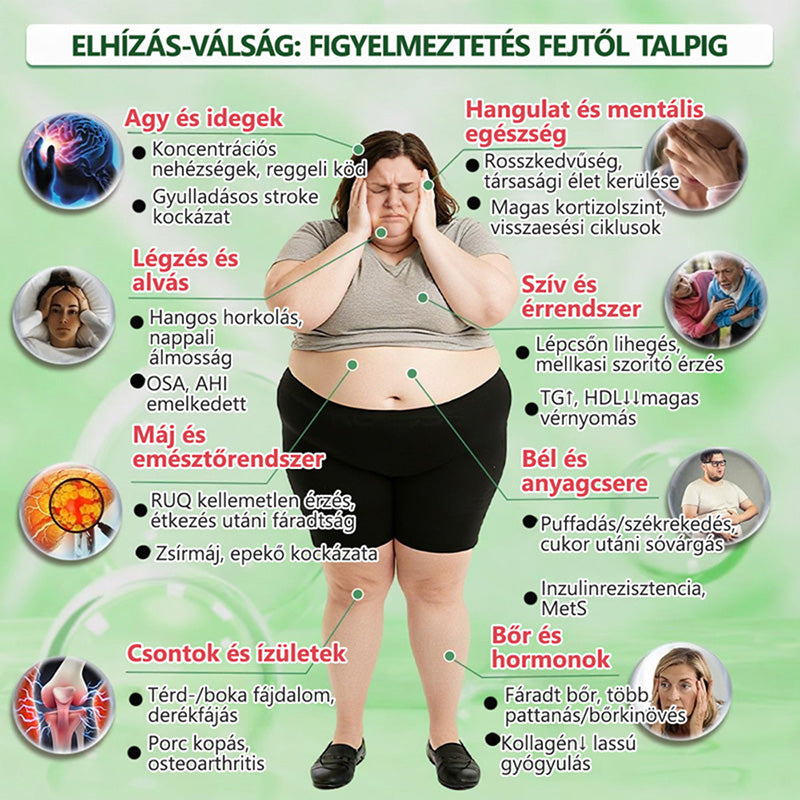 🇭🇺【Utolsó napi akció 80% KEDVEZMÉNY】💍Healrize® Moringa–Berberin és NAD+ 10 az 1-ben Fejlett Nano Mikrotűs Tapasz✨7 Párna dobozonként · Egyhetes készlet