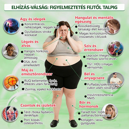 🇭🇺【Utolsó napi akció 80% KEDVEZMÉNY】💍Healrize® Moringa–Berberin és NAD+ 10 az 1-ben Fejlett Nano Mikrotűs Tapasz✨7 Párna dobozonként · Egyhetes készlet