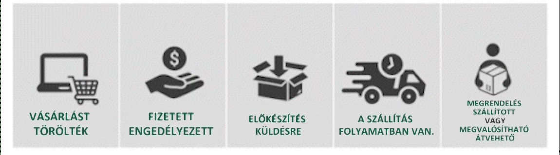 💥 Ma 50% kedvezmény | 👨‍👩‍👧‍👦Toaimer® CrystalGenesis — Növeszd meg saját luxus kristályékszeredet 💎