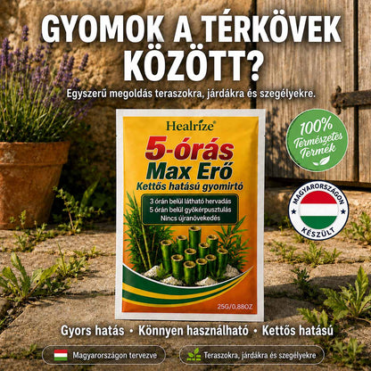 🌿 𝐇𝐞𝐚𝐥𝐫𝐢𝐳𝐞® 𝟓 ó𝐫á𝐬 𝐦𝐚𝐱𝐢𝐦á𝐥𝐢𝐬 𝐡𝐚𝐭á𝐬ú, 𝐤𝐞𝐭𝐭ő𝐬 𝐡𝐚𝐭á𝐬ú 𝐠𝐲𝐨𝐦𝐢𝐫𝐭ó | 𝐆𝐲𝐨𝐫𝐬𝐚𝐧 𝐡𝐚𝐭ó 𝐠𝐫𝐚𝐧𝐮𝐥á𝐭𝐮𝐦 𝐦𝐚𝐤𝐚𝐜𝐬 𝐠𝐲𝐨𝐦𝐨𝐤 é𝐬 𝐛𝐨𝐤𝐫𝐨𝐬 𝐧ö𝐯é𝐧𝐲𝐳𝐞𝐭 𝐞𝐥𝐥𝐞𝐧 🍂